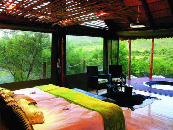 Bayethe Tented Lodge - Room2
