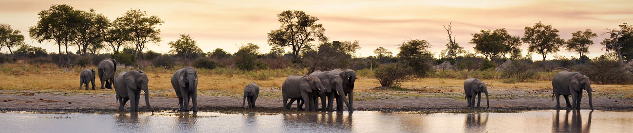 South Africa - from Big 5 safaris to relaxing beach breaks, South Africa offers the world in one country.