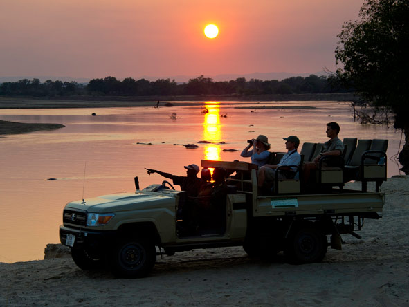 Flatdogs - Game Drive