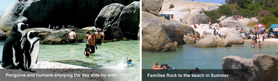 Boulders Beach - ideal for families Boulders Beach - ideal for families