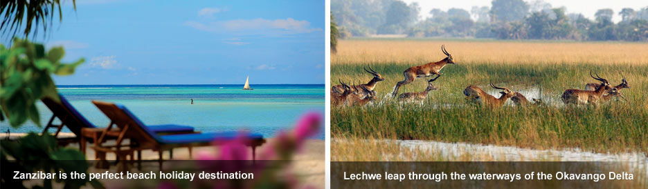Africa's Famous Places - Zanzibar & Okavango Delta Africa's Famous Places - Zanzibar & Okavango Delta