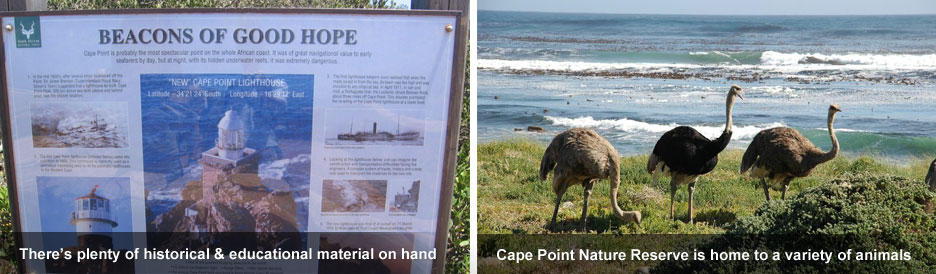Cape Point - information & wildlife Cape Point - information & wildlife