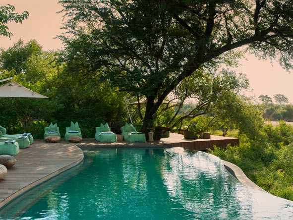 Ngala Tented Camp - Pool
