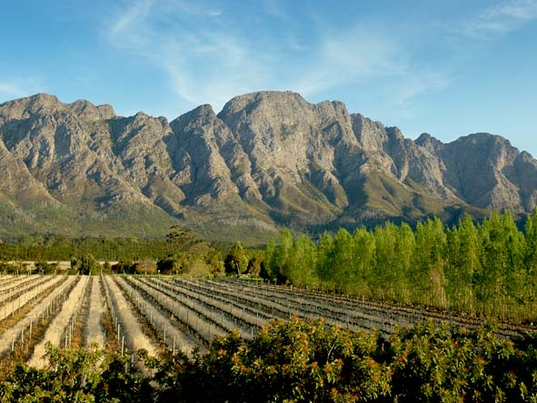 Franschoek Villas1 - 361