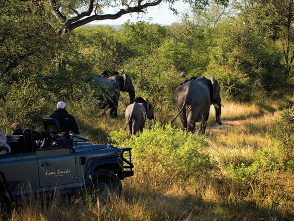 4-Iconic CT Kruger Vic tour 1905