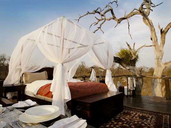 7-Iconic CT Kruger Vic tour 1905