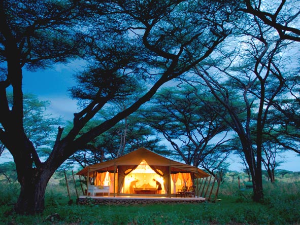 Luxury Safaris gallery3