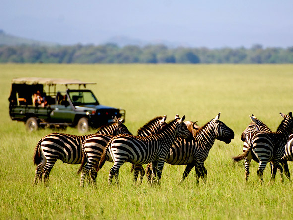 Luxury Safaris gallery4