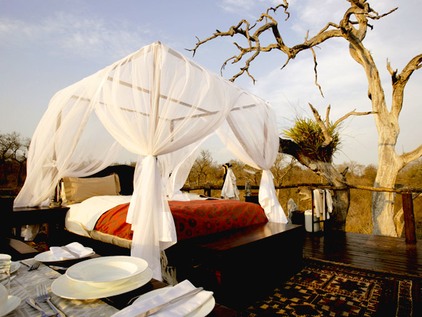 Luxury Safaris gallery8