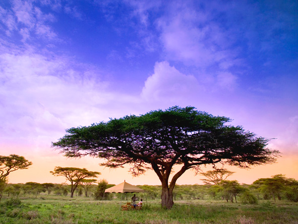 Luxury Safaris gallery10