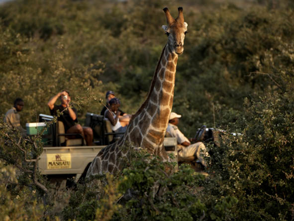 55 Botswana Gallery 7