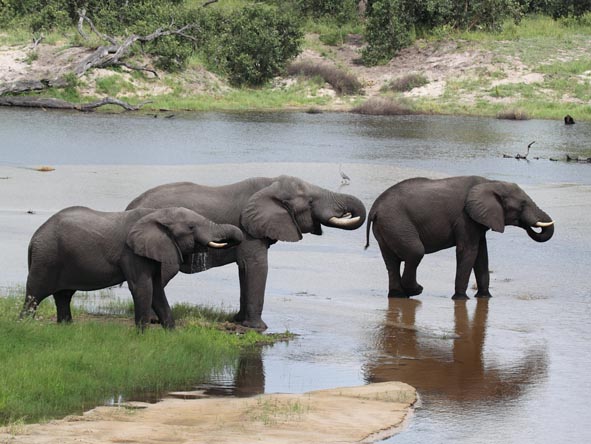 55 Botswana Gallery 12