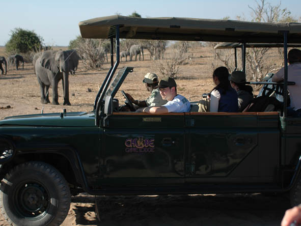 6295 - Chobe gallery4
