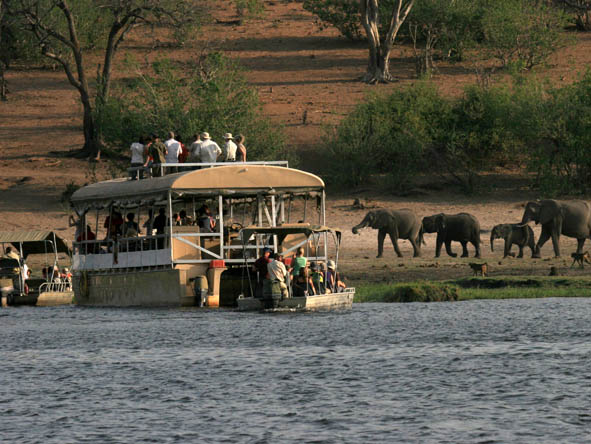 6295 - Chobe gallery7