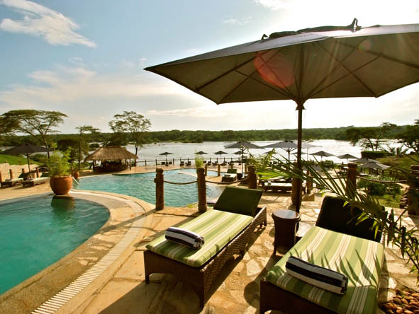 6295 - Chobe gallery8