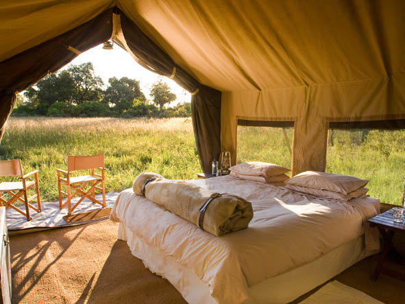 6295 - Chobe gallery11