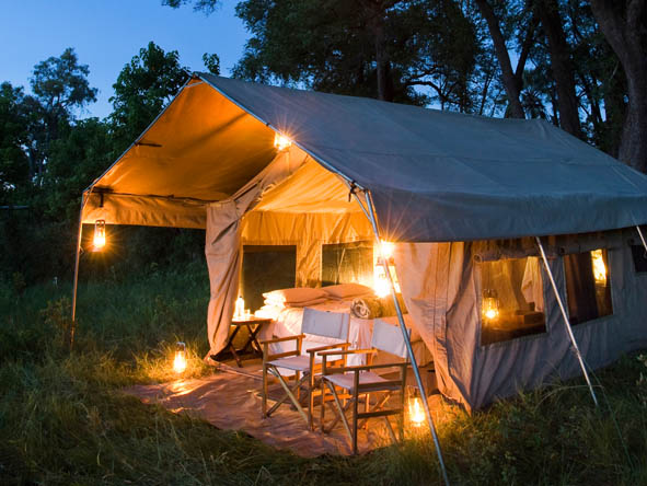 6295 - Chobe gallery12