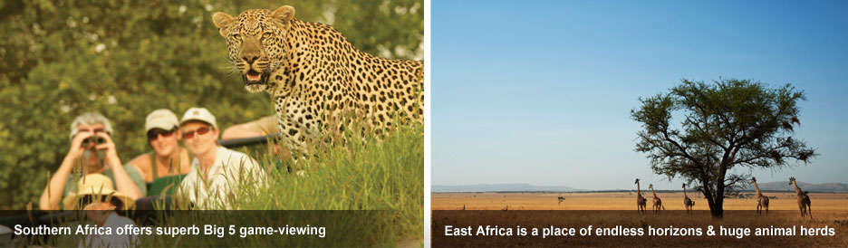 Eastern vs Southern Africa Safaris - Big 5 luxury or classic wide open spaces? Eastern vs Southern Africa Safaris - Big 5 luxury or classic wide open spaces?