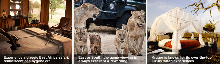 Eastern vs Southern Africa Safaris - from classic to luxury experiences, expect the best Eastern vs Southern Africa Safaris - from classic to luxury experiences, expect the best