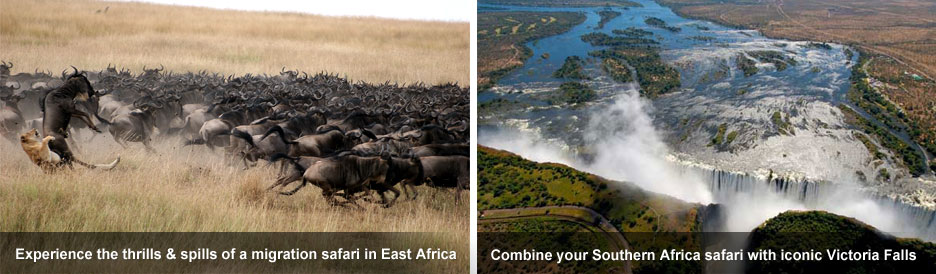 Eastern vs Southern Africa Safaris - thrills & spills and iconic sights Eastern vs Southern Africa Safaris - thrills & spills and iconic sights