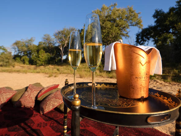 Kruger Honeymoon 4