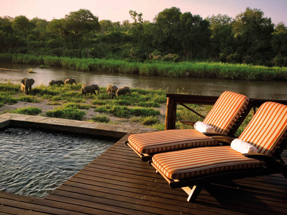 Kruger Honeymoon 12