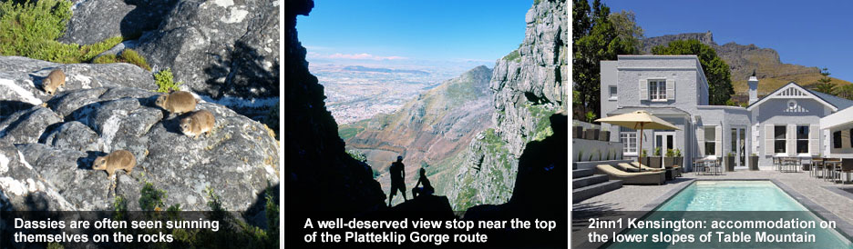 Table Mountain blog - 3 Table Mountain blog - 3