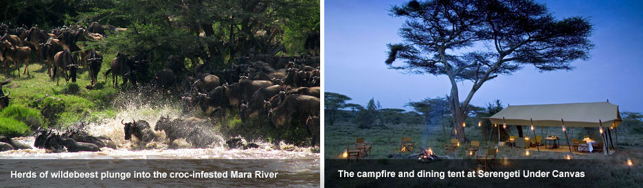 East Africa blog 2 East Africa blog 2