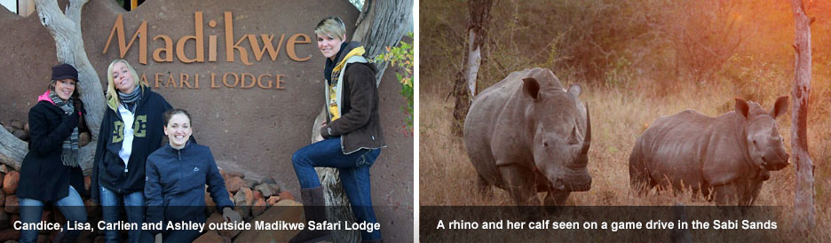 Madikwe and Kruger - blog 1 Madikwe and Kruger - blog 1