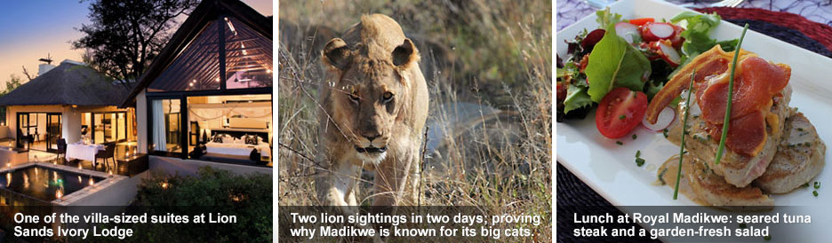 Madikwe and Kruger - blog 2 Madikwe and Kruger - blog 2