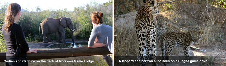 Madikwe and Kruger - blog 3 Madikwe and Kruger - blog 3