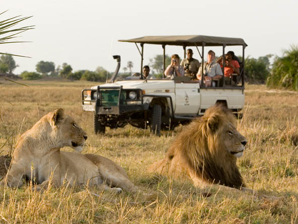6371 - Okavango Delta Gallery1