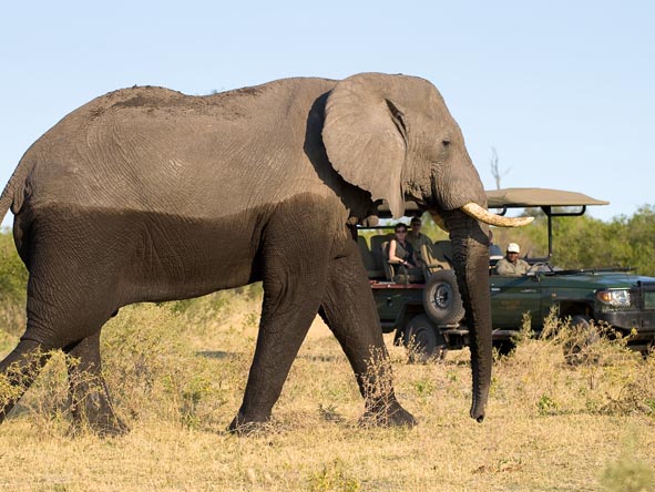 6371 - Okavango Delta Gallery5