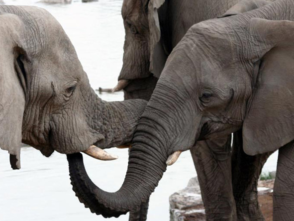 Best of Namibia Adventure