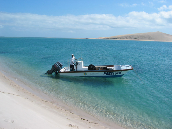 Discover Mozambique