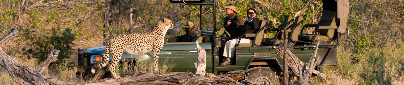 South African Luxury Safari 2