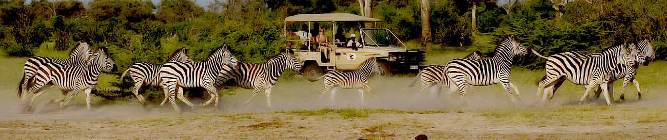 Game-rich Savuti lies in a remote corner of the Chobe National Park & offers spectacular year-round game viewing. Best combined with the Okavango Delta.