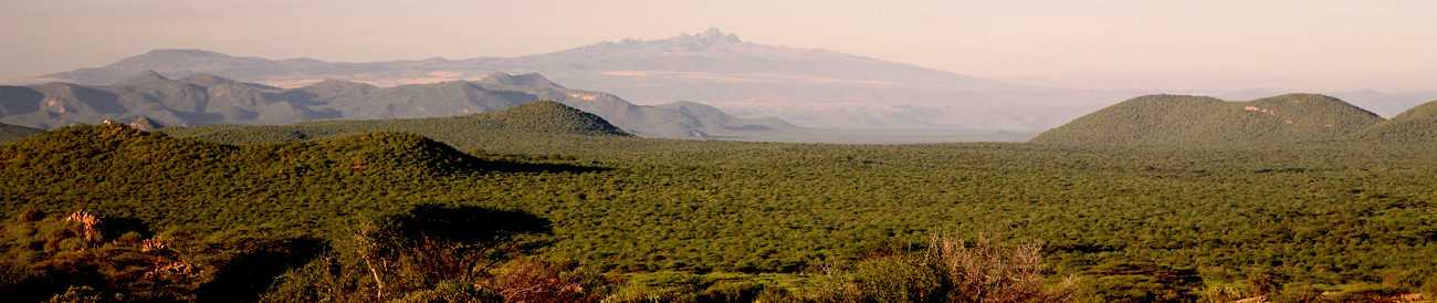 The captivating landscapes of the Samburu National Reserve are home to a variety of unique animals as well as the Big 5, making for exceptional game viewing.