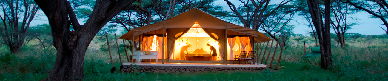 African honeymoon banner