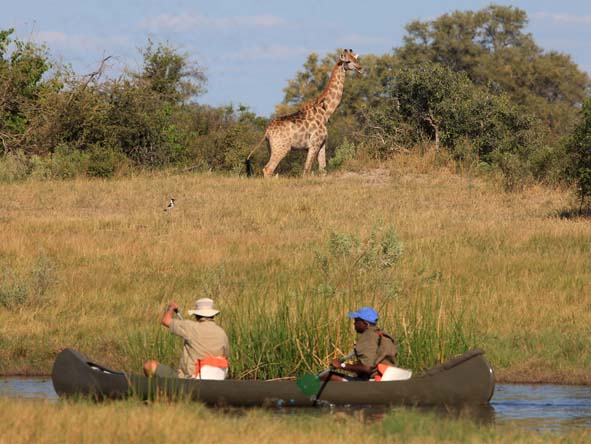 Selinda Canoe Trail Exploration