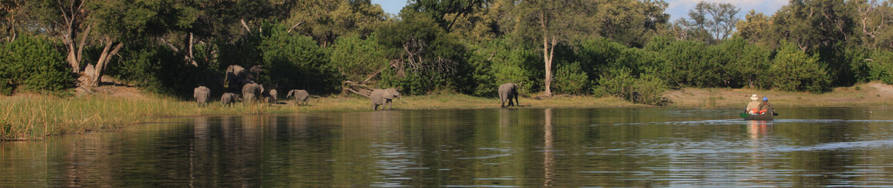 Selinda Canoe Trail Exploration