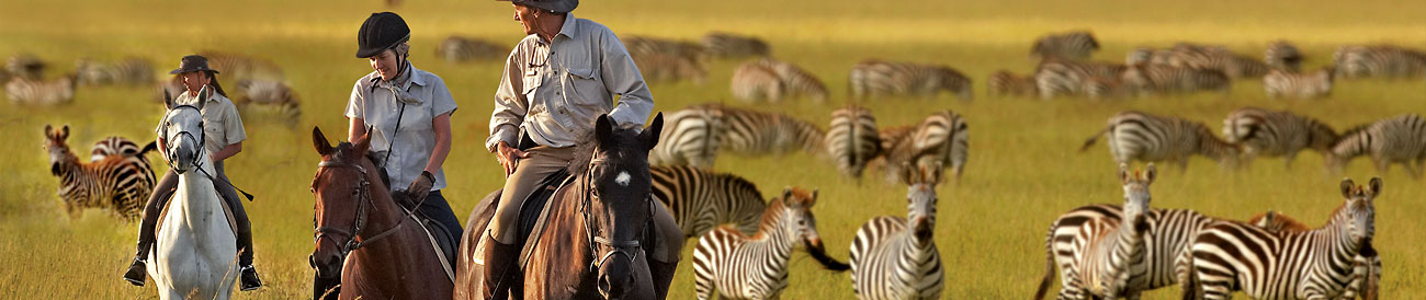 The Grumeti Reserves form part of the greater Serengeti ecosystem, and offer an incredible vantage point for the great migration.