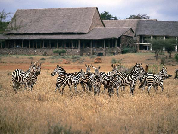 Kenya Gallery11