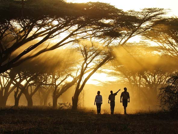 Kenya Gallery12