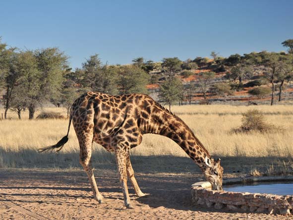 Namibia Gallery12