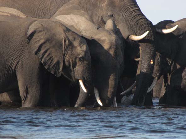 Namibia Gallery14