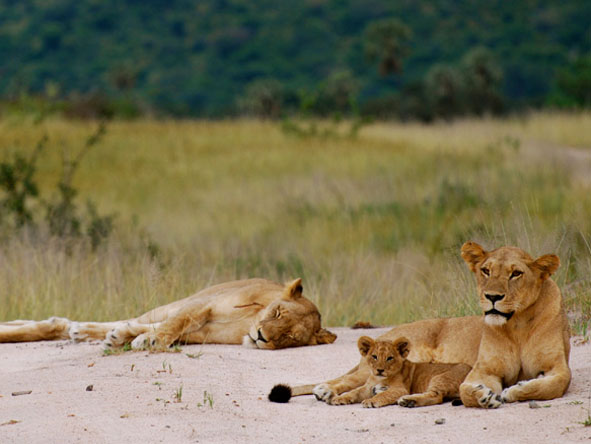 Tanzania Gallery3