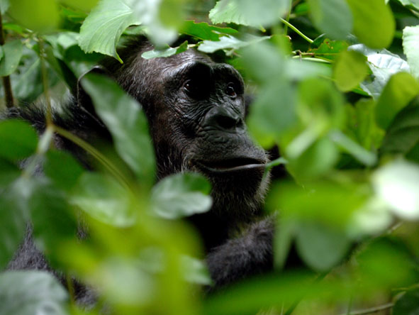 Tanzania Gallery17