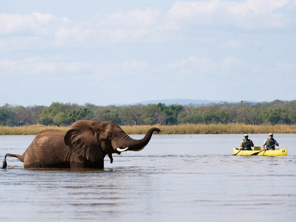 Zambia Gallery2