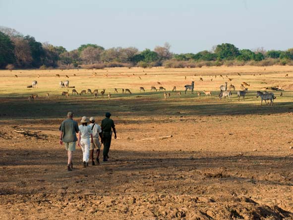Zambia Gallery5